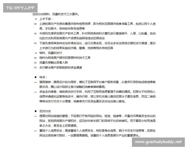 灰色黑客Grey Hack:揭秘网络安全边缘的道德困境与技术挑战 灰色黑客Grey Hack:揭秘网络安全边缘的道德困境与技术挑战
