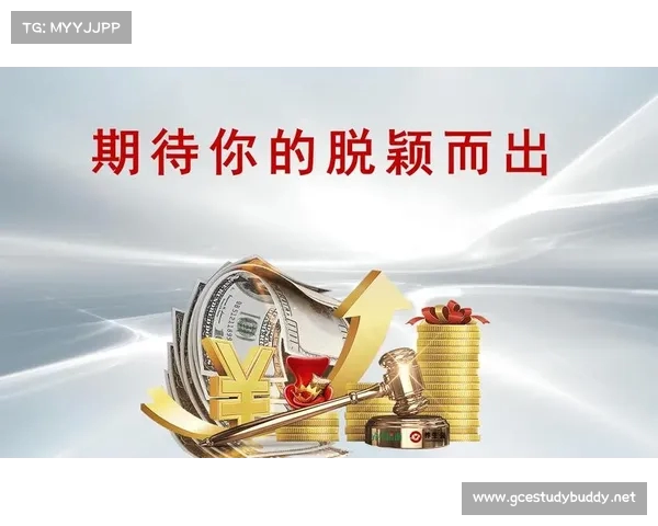 阔步2025发展新机遇 石头与棉花的抉择与未来转型路径 阔步2025发展新机遇 石头与棉花的抉择与未来转型路径